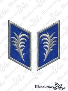 Korpusówki młodszych/starszych oficerów Policji