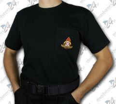 Koszulka t-shirt STRAŻ POŻARNA - KT6