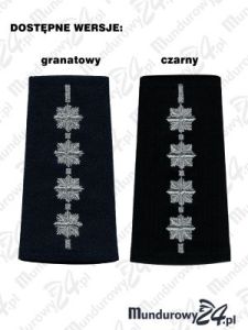 Pagon aspiranta sztabowego Policji