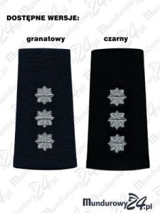 Pagon komisarza Policji