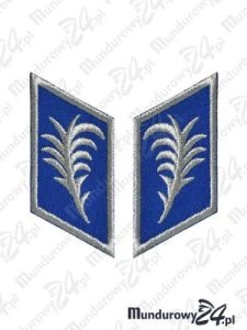 Korpusówki młodszych/starszych oficerów Policji