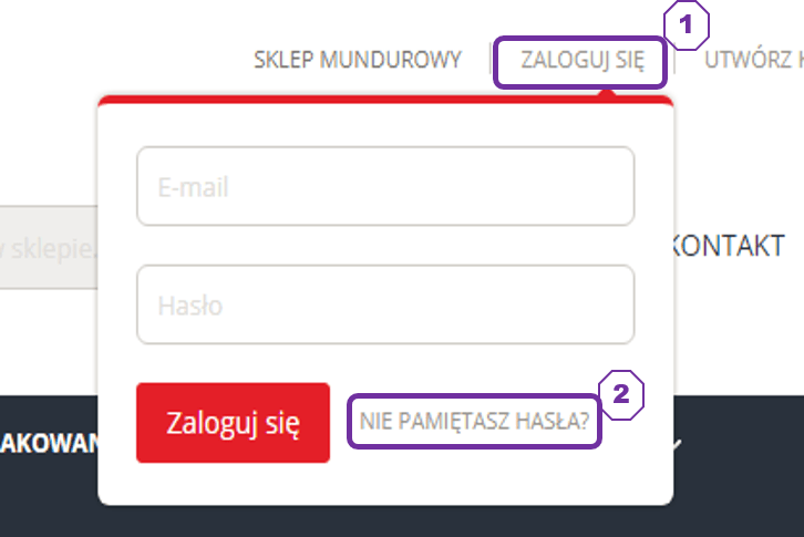 Resetowanie hasła Rys. 1 resetowaniehasla_rys01